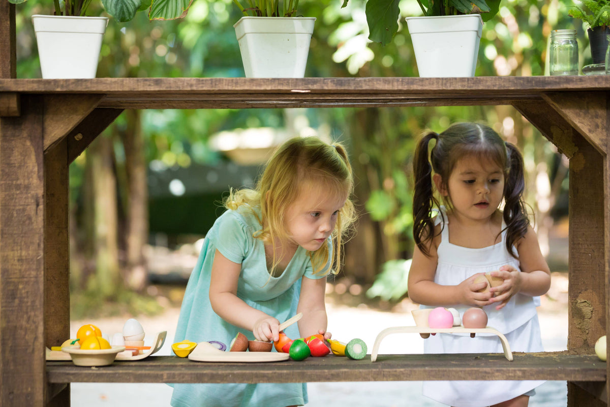 Assorted Fruit And Vegetable Wood Toy for Kids (Plan Toys)