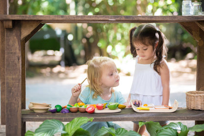 Assorted Fruit And Vegetable Wood Toy for Kids (Plan Toys)