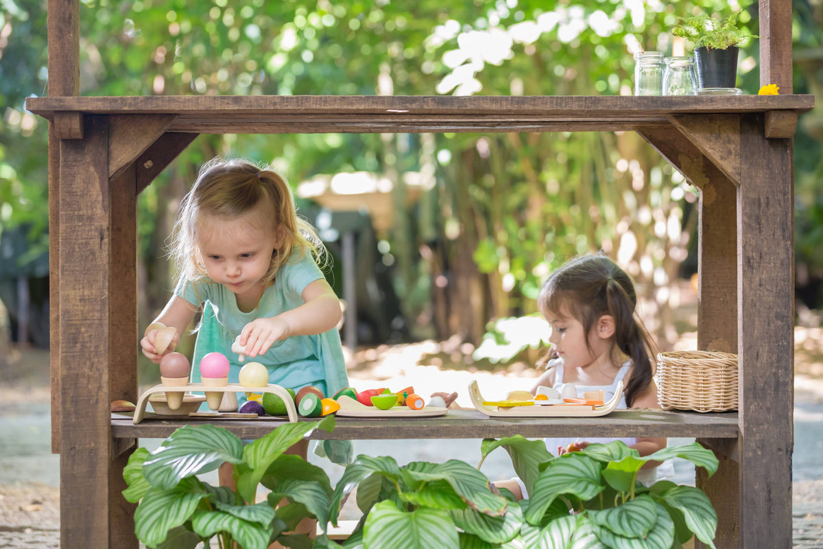 Assorted Fruit And Vegetable Wood Toy for Kids (Plan Toys)